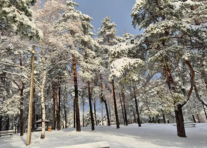 아파트 Emilija Divčibare